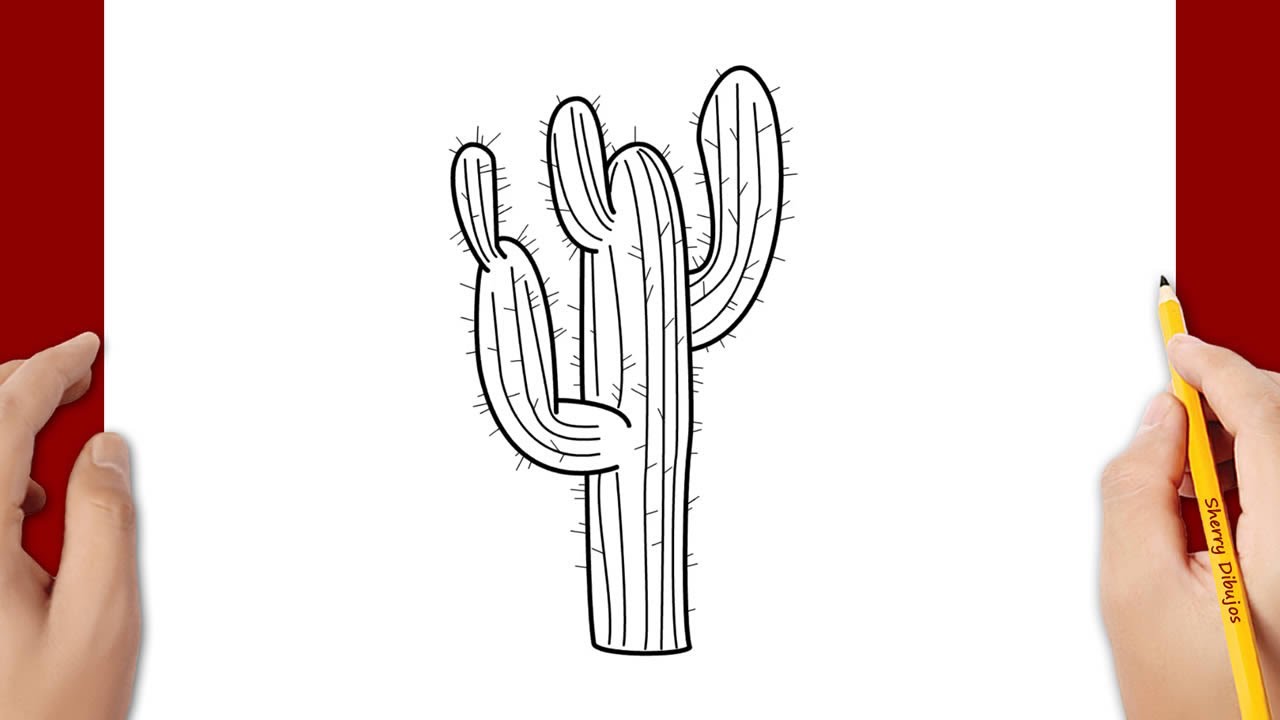 Cómo dibujar un cactus - thptnganamst.edu.vn