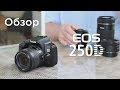 Обзор камеры Canon EOS 250D