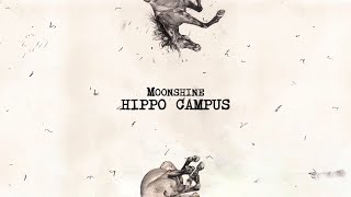 Video thumbnail of ""moonshine" (lyrics) - hippo campus"