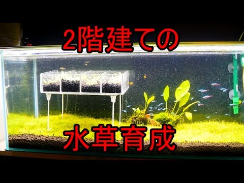 2階建ての水槽