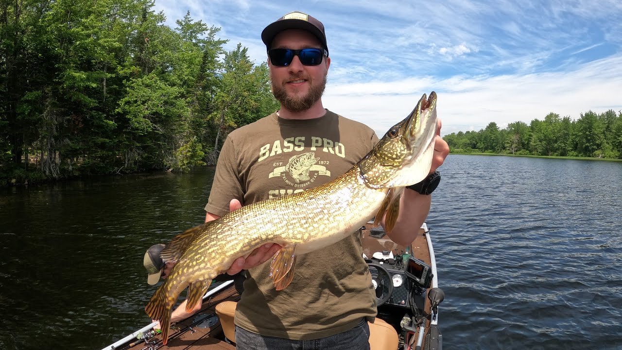 Fishing Central Maine: We Found a Big Pike and a Big Eagle!