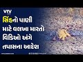 Amreli News: ક્ષેત્રુંજ્ય જંગલમાં સિંહના વાયરલ વીડિયો અંગે તપાસના આદેશ | VTV Gujarati