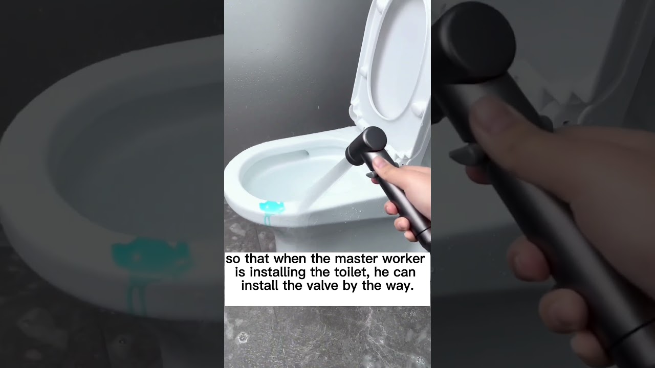 Bathroom Double Outlet Angle Valve Toilet Bidet Sprayer