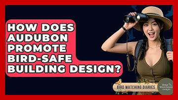 How Does Audubon Promote Bird-safe Building Design? - Bird Watching Diaries