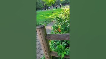 -*+summer days+*- 🌅☀️🏝️🏖️          song:Brazil by #DeclanMcKenna  { #music , #summer , #fun , #sun }