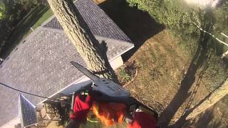 Celebrity Roping off a limb that's hanging over house (easy breezy) (2013) Profile