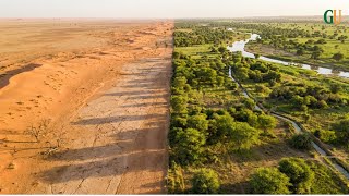 One Man STOPPED the SAHARA — His Technique is SPREADING Across Africa