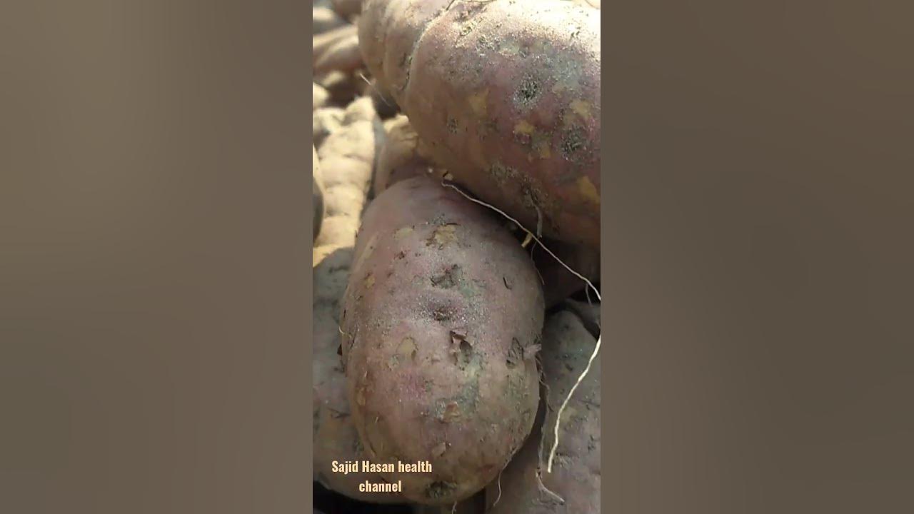 is-sweet-potato-a-vegetable-or-a-fruit-and-what-are-its-benefits-youtube