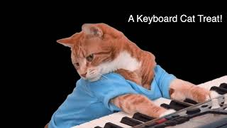 KC's Dad's Nose!!! by Keyboard Cat! 28,367 views 5 months ago 2 minutes, 5 seconds