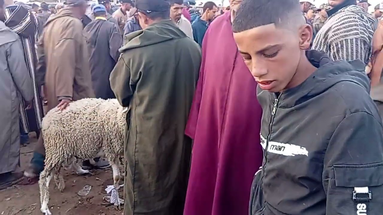 مباشرة من سوق الثلاثاء سيدي بنور/15/7/2025