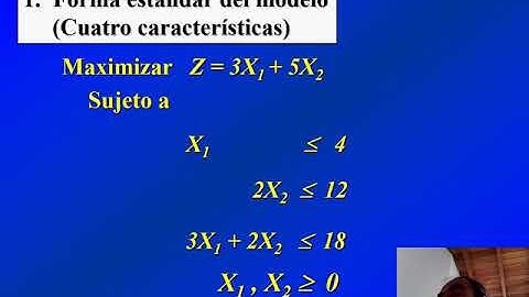 082 Forma estándar del modelo