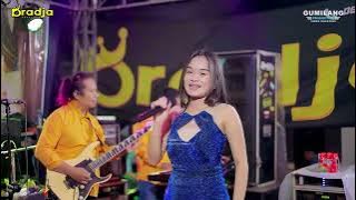 D'RADJA CASTI AJA - LOVE IN A DILEMMA - SAHMA FELLA - WEDDING DEDI & WINDI - PENDEM KEMBANG JEPARA