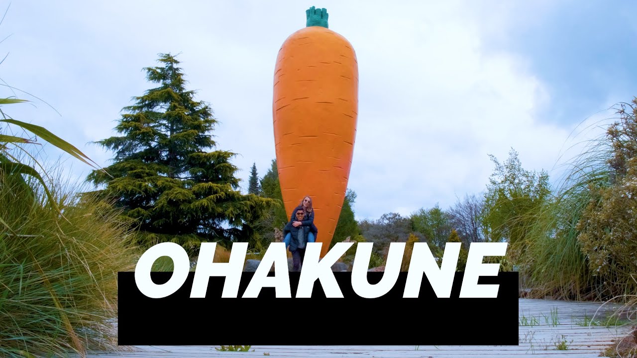 Road Trip to Travel New Zealand VLOG - Exploring Ohakune