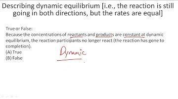Describing dynamic equilibrium