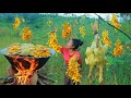 A women pick sesbania flower for food - steam sesbania flower with chickens for dog eat lunch