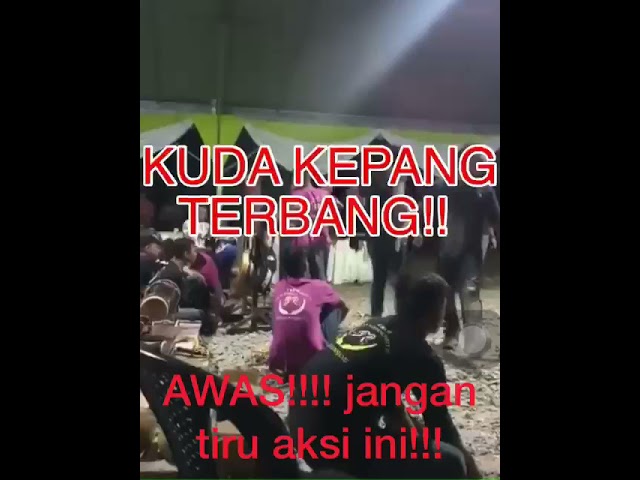 DIRASUK !!KUDA KEPANG ulang tayang!! class=