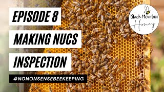 Episode 8 - Making Splits for Winter - Hive Inspection