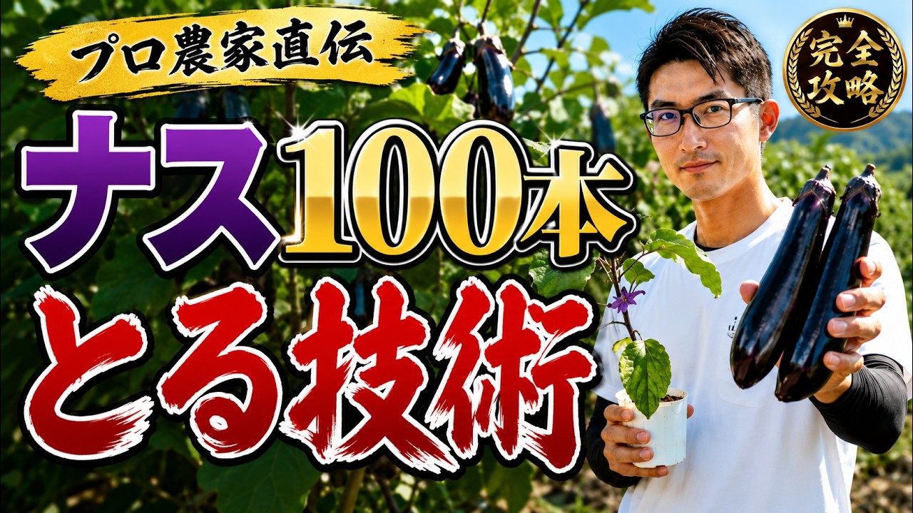 ナス100本とる技術｜その先で差がつく、仕立て・肥料・売り方の完全 