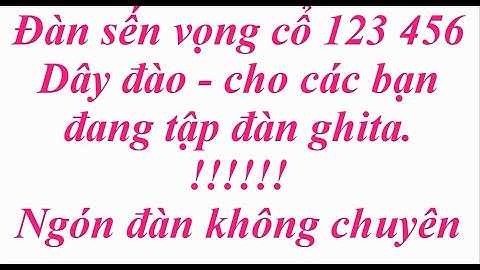 Vọng cổ 123 456 đàn sến dây đào, cho anh em luyện đàn ghita nhé! | Tấn Thành Bàu Năng