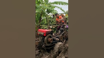 #shorts xe công nông 2 cầu chở chuối lùi trong lầy lội