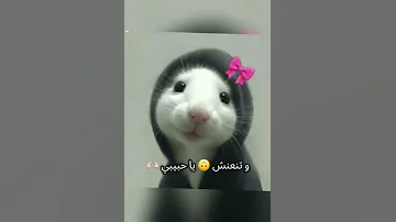 اكسبلور لايك ترند انا رح احكي بصراحه 