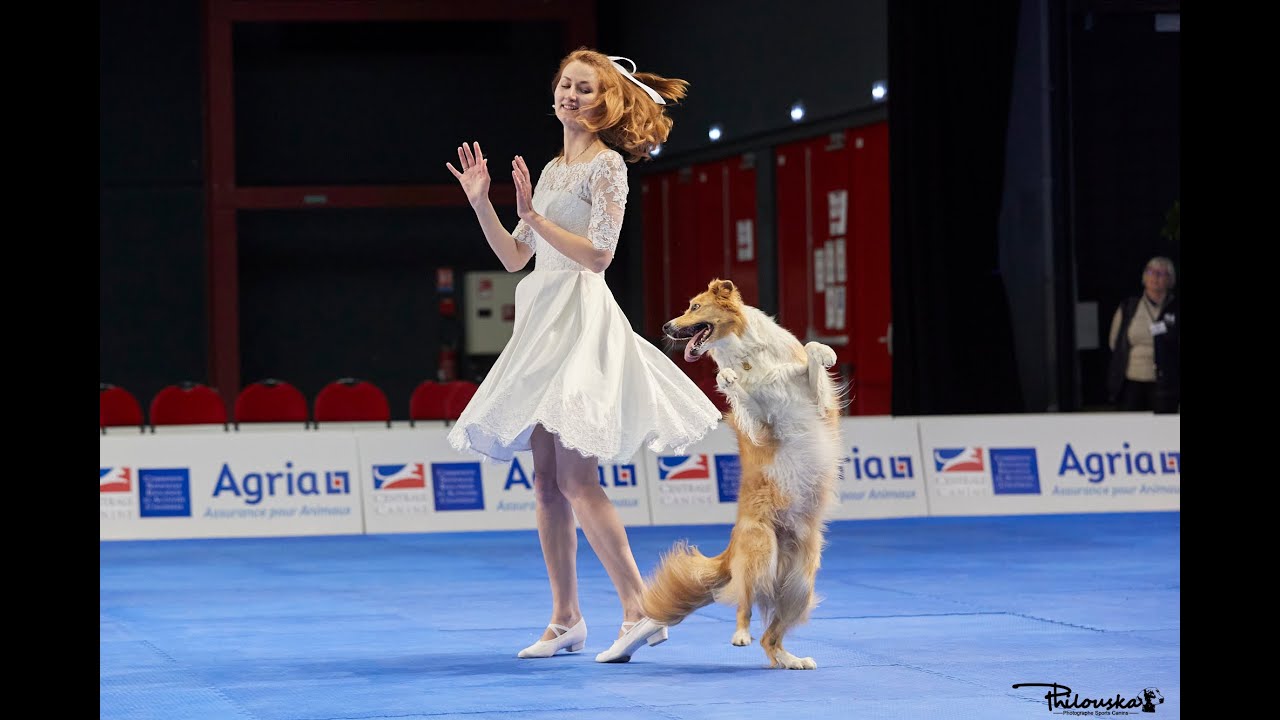 Dog Dancing World Championship 2022 Anastasiia Beaumont and border collie Yuki