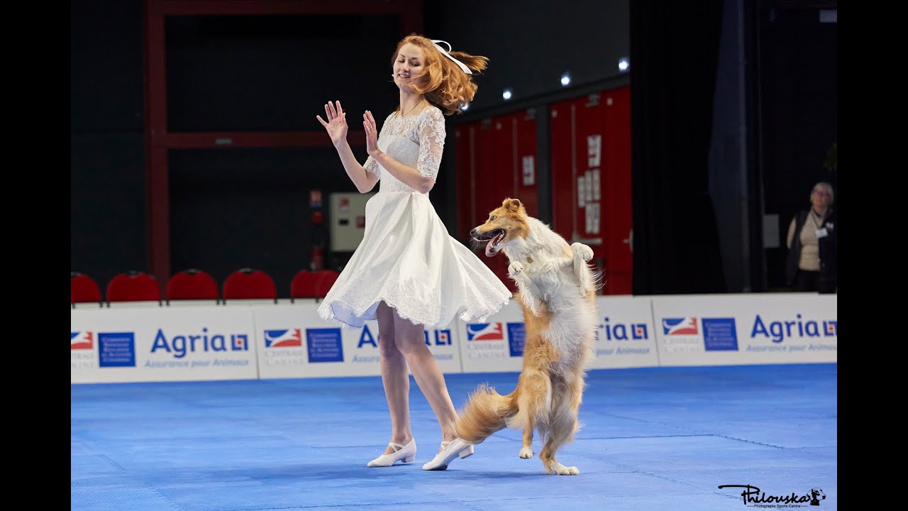 Dog dancing world championship 2022, anastasiia beaumont and border collie yuki