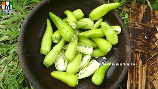 Grandma Making Crispy Anchovy Fish Fritters | Nethallu Pakodi | My3streetfoods