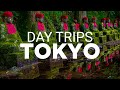 Best day trips from tokyo  must see places near tokyo