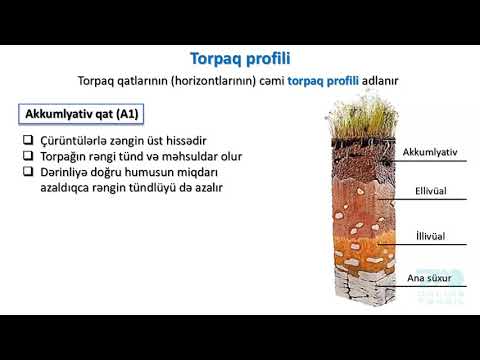 Video: Torpaq əmələgəlmə faktoru nədir? Torpaq əmələ gətirən amillər hansılardır?