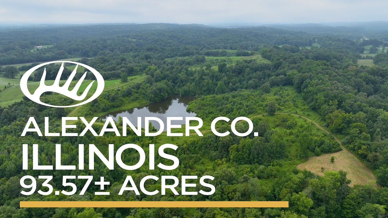 Alexander County, IL 93.57± Acres YouTube