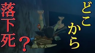 リンクが落下して「あー」て叫ぶ位置まで降りてみたetc　氷の導き 【ゼルダの伝説ブレスオブザワイルド】検証　実況