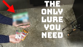 This Is The ONLY Lure You Need To Catch Bass With All Year Long!