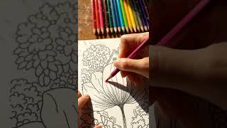 Full Wait Until The End 😍🎨|Bloomora | Cozy Adult Coloring Books & Relaxing Coloring Videos #coloringbook News