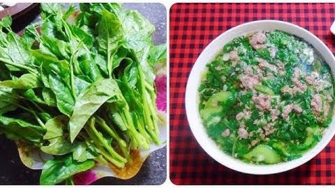 #vlog1 || Những người nên hạn chế ăn Rau Mồng Tơi.