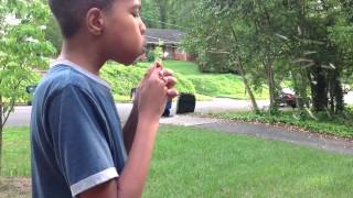 Watching The Grass Grow FAKE Trailer (HD Version)