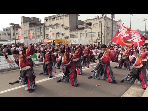 新・もみさんぽ　銭形まつり（香川大学よさこい連 風華）【香川県観音寺市】（令和5年・2023）