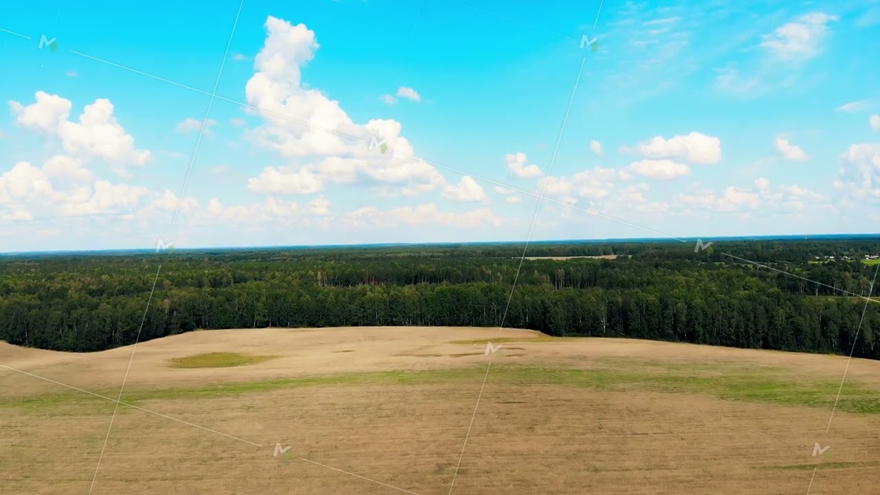 flying over harvest field, aerial shot from drone, inspirational freedom sunset, yellow autumn, oak