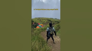 5 Alasan mendaki Gunung Sumbing Via Gajah Mungkur Wonosobo #gunungsumbing #sumbingmountain