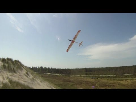Phoenix 2000, DS moves