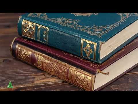Ambiente de Livraria 📖 Músicas Relaxantes de Guitarra para Ler e Relaxar