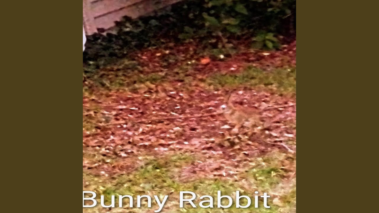 New Age of the Cellphone