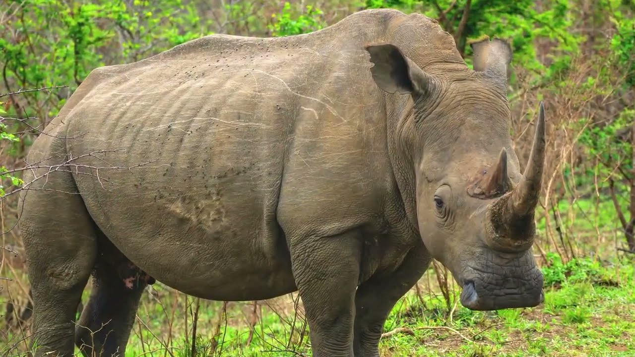 Südafrika Rundreise