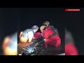 One dolphin dies, another released after rescue response in North Kingstown
