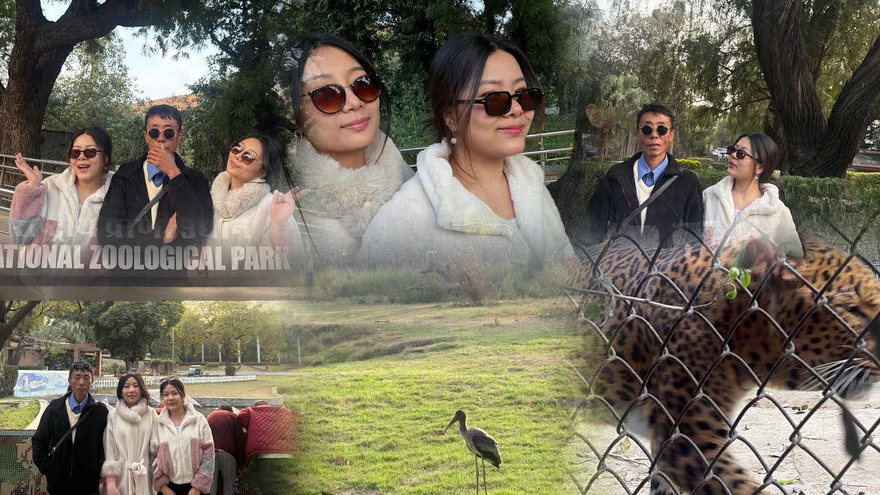 Папа впервые посетил Делийский зоопарк | Семейная прогулка 💌