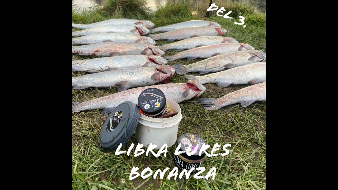 Bonanza bund fiskeri i Refsgaard del 3. Put and Take Fiskeri