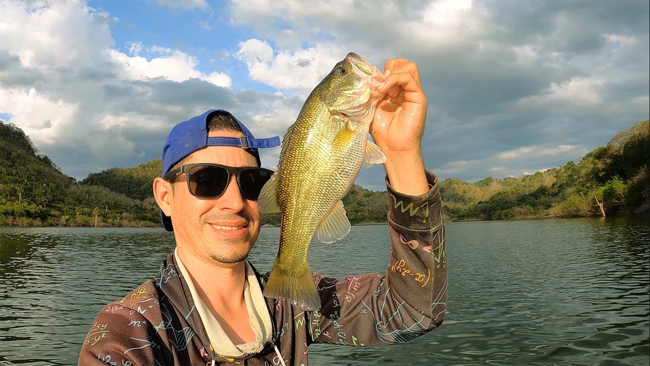 GRAN PESCA DE LOBINAS… ATRAPÉ MUCHOS PECES GRANDES