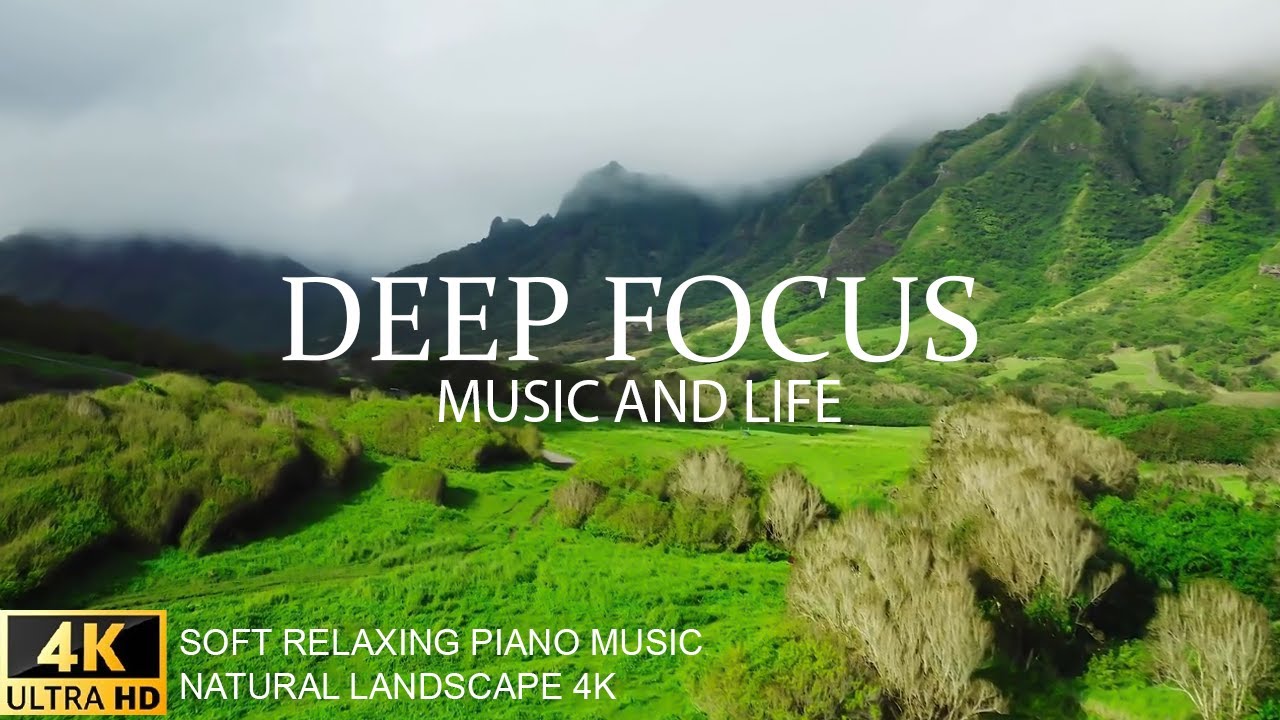 Ambient Study Music To Concentrate - 3 Hours of Music for Studying ...
