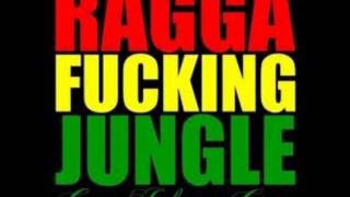 Junglefever ft. Horace Andy - Seek And Find