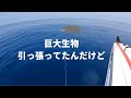 デカすぎてカヤックに乗らないから引っ張ってみたんだけど・・・